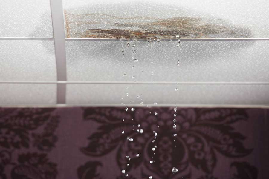 Why Professional Leak Detection Services Are Essential